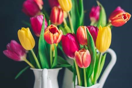 Course Image for K05115 Floristry - Easter Bouquets