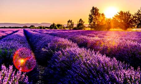 Course Image for K05261 *NEW* French -  Conversational - Autumn - Term 1 - Evening