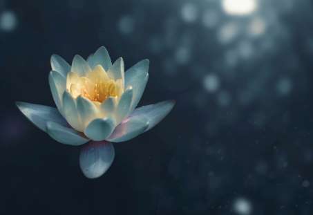 Course Image for K05748 Traditional Yoga - Sadhana Pranayama - Beginner